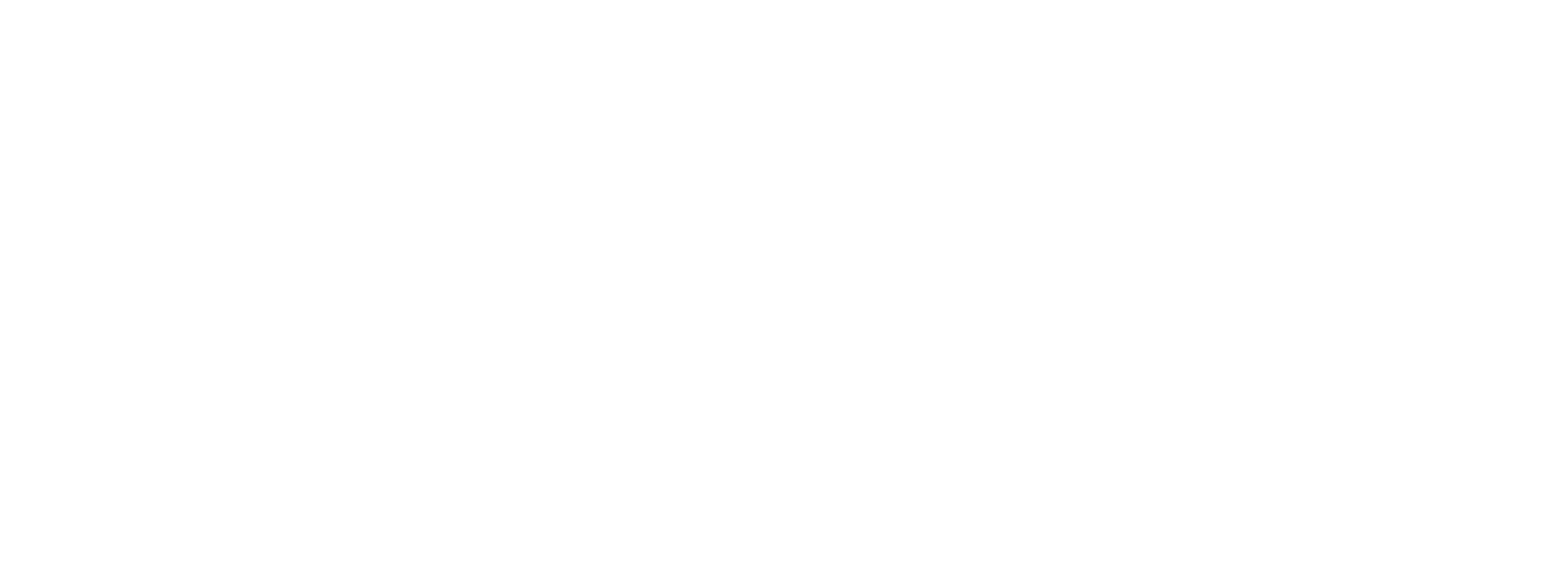 Parti Socialiste